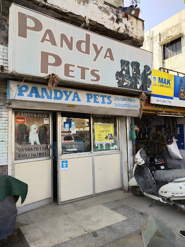 Pet-Shops-For-Dog-in-Ahmedabad-Best-Pet-Store-2